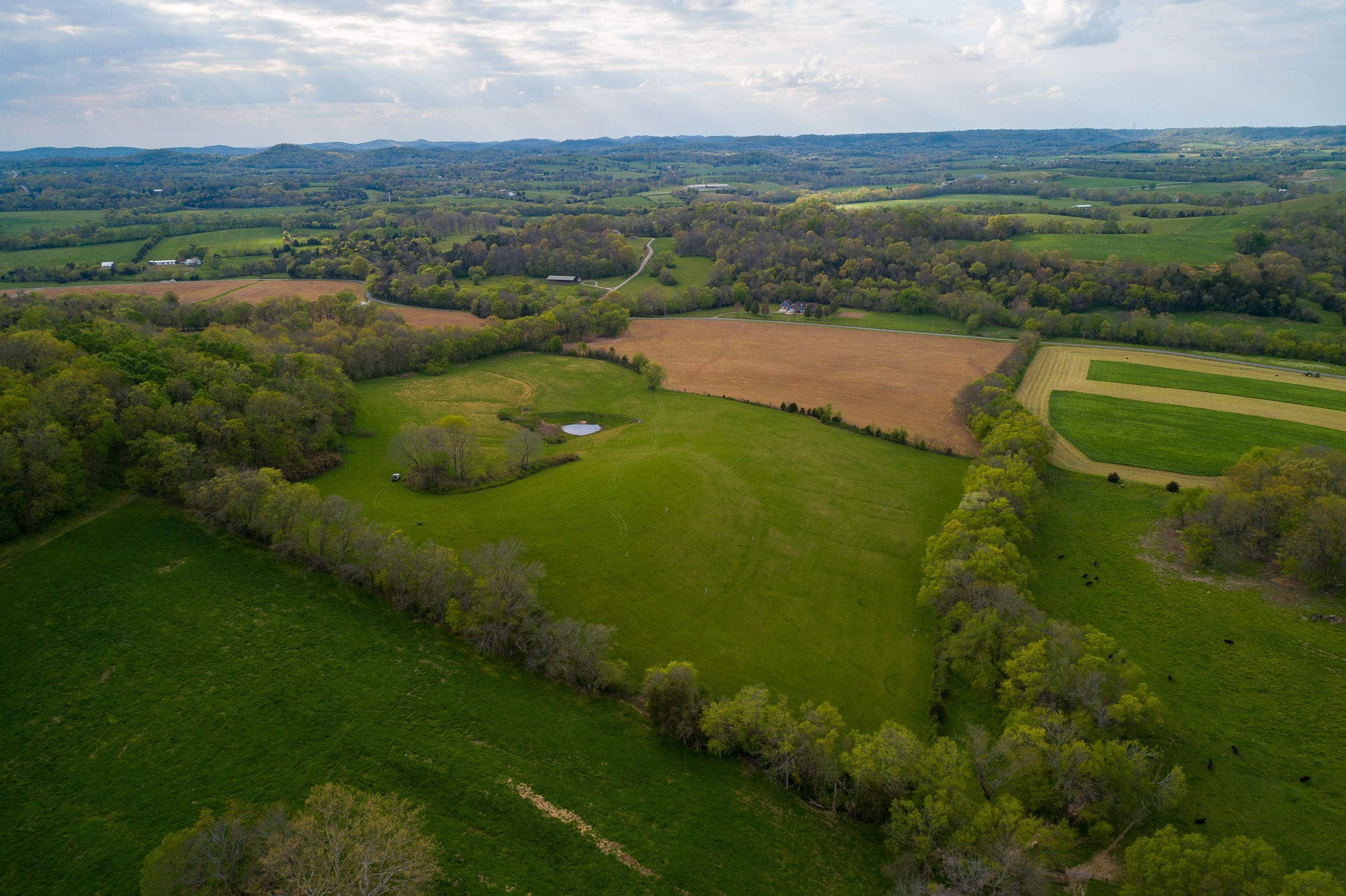 1 Clyde Gleaves Road Wartrace, TN 37183 - Photo 19 of 50 Gallery Image 19