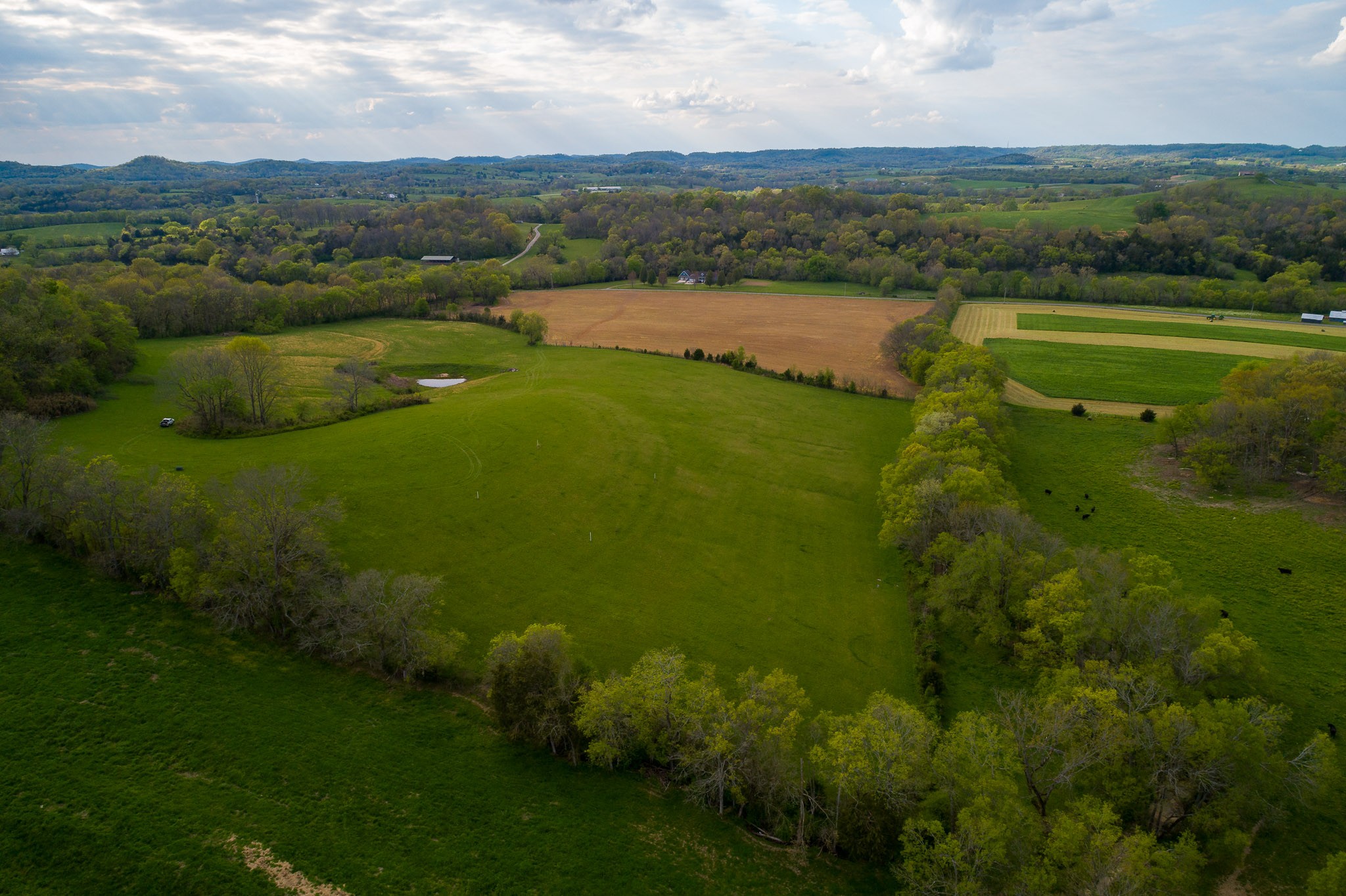 1 Clyde Gleaves Road Wartrace, TN 37183 - Photo 20 of 50 Gallery Image 20
