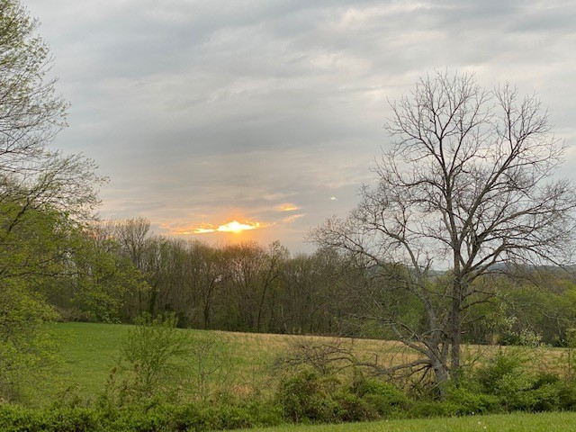 1 Clyde Gleaves Road Wartrace, TN 37183 - Photo 3 of 50 Gallery Image 3