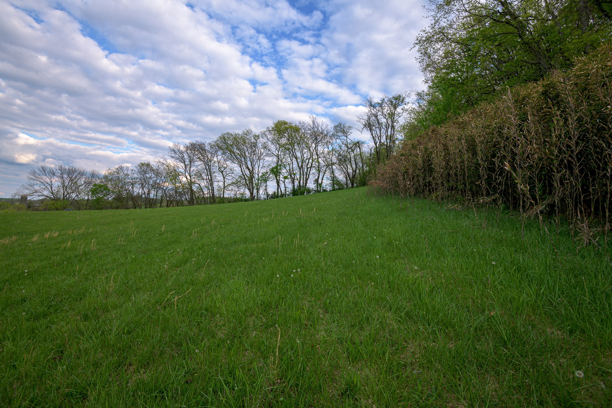 1 Clyde Gleaves Road Wartrace, TN 37183 - Photo 23 of 50 Gallery Image 23