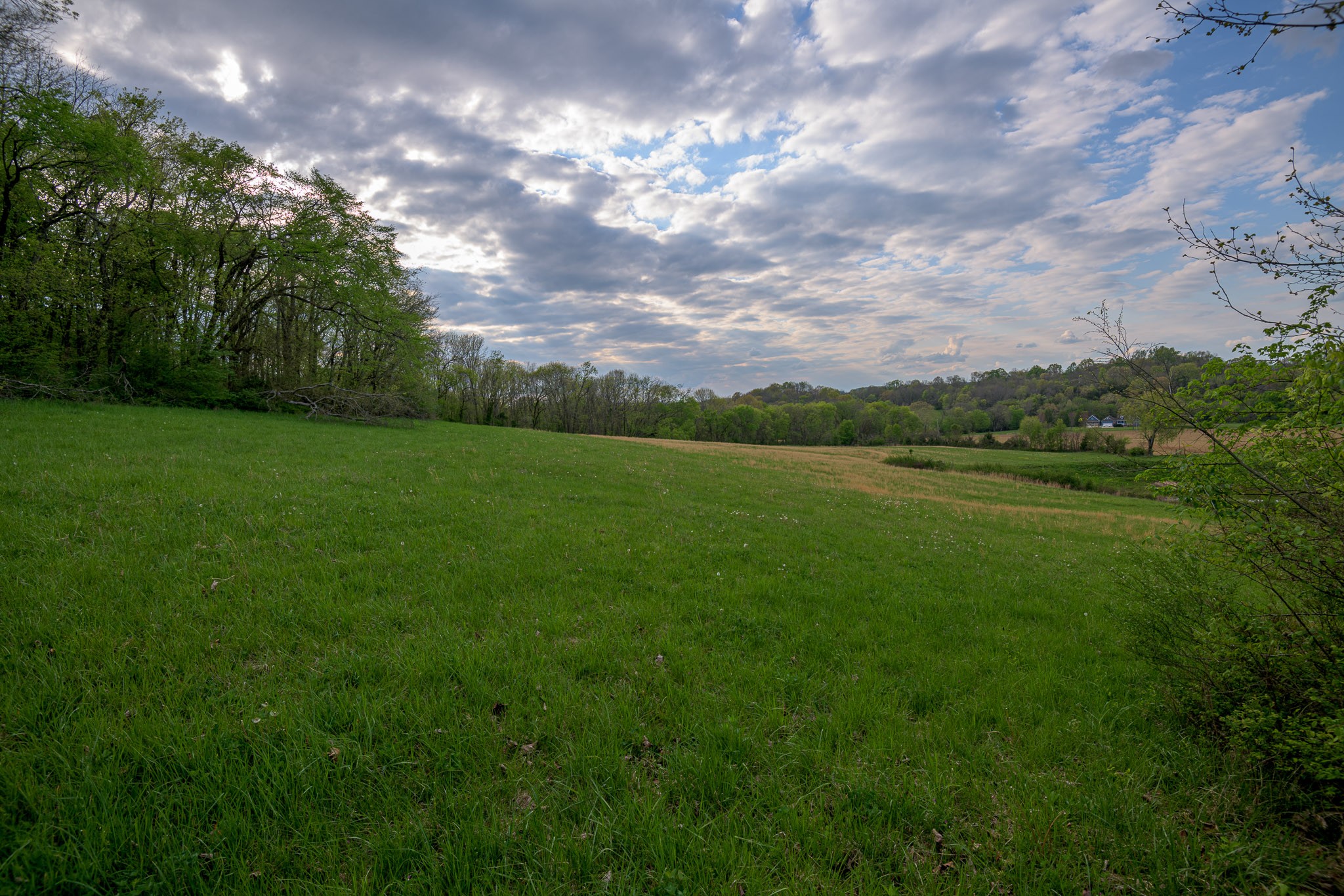 1 Clyde Gleaves Road Wartrace, TN 37183 - Photo 24 of 50 Gallery Image 24
