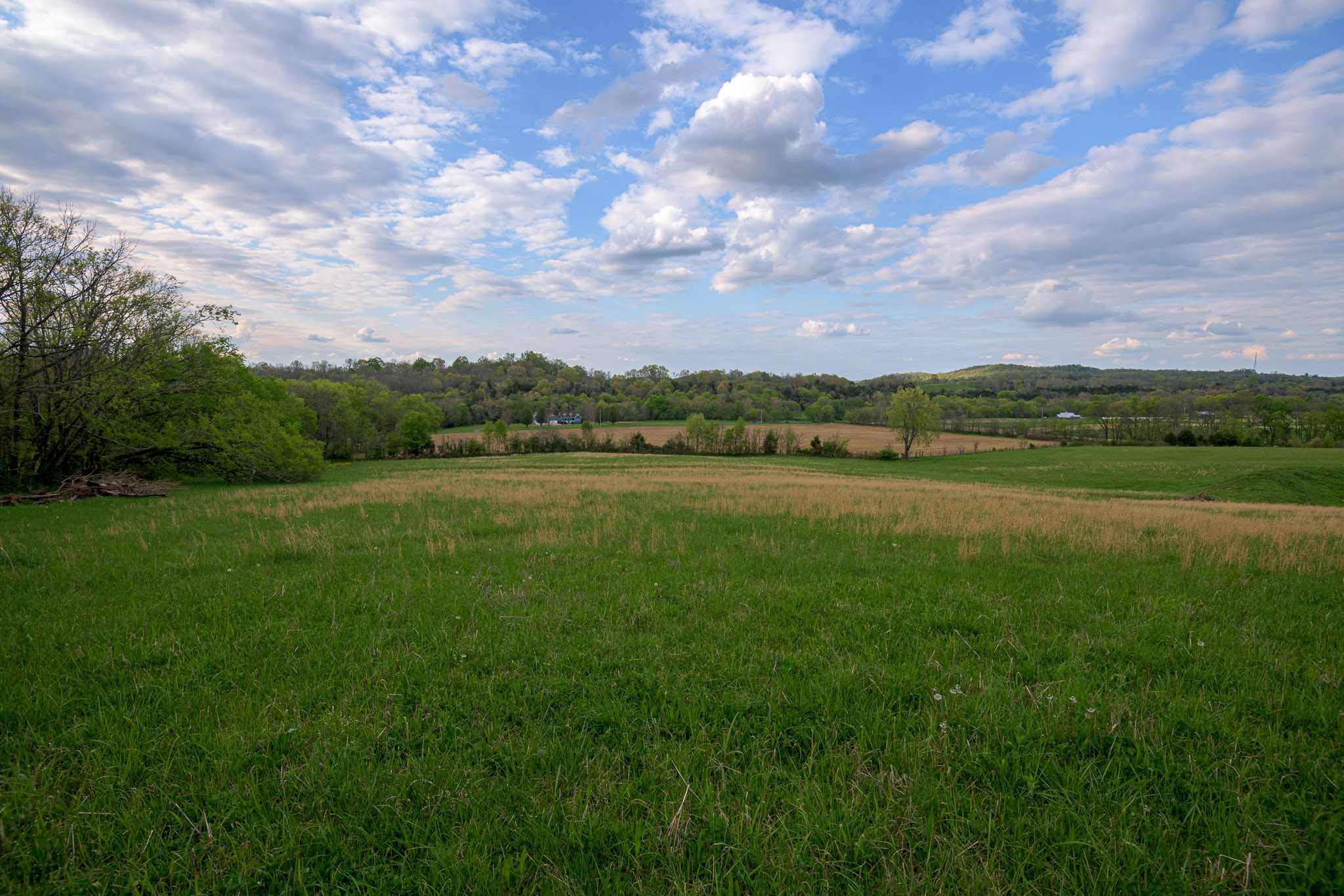 1 Clyde Gleaves Road Wartrace, TN 37183 - Photo 25 of 50 Gallery Image 25