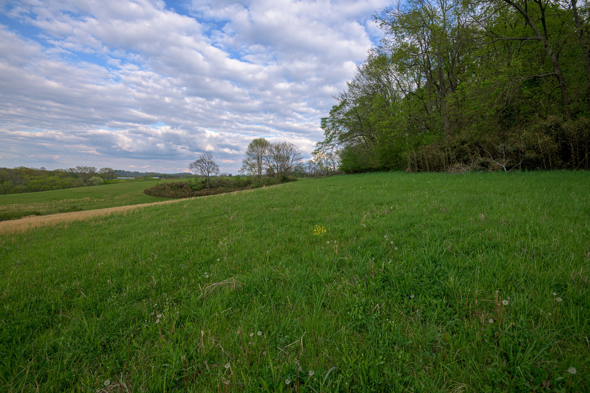 1 Clyde Gleaves Road Wartrace, TN 37183 - Photo 29 of 50 Gallery Image 29
