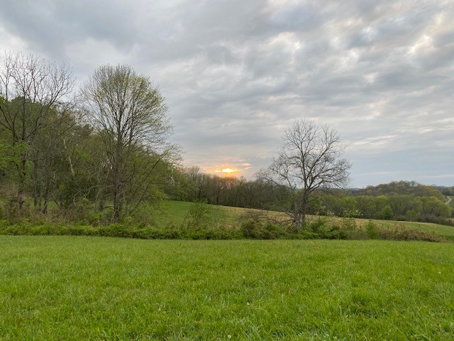 1 Clyde Gleaves Road Wartrace, TN 37183 - Photo 4 of 50 Gallery Image 4