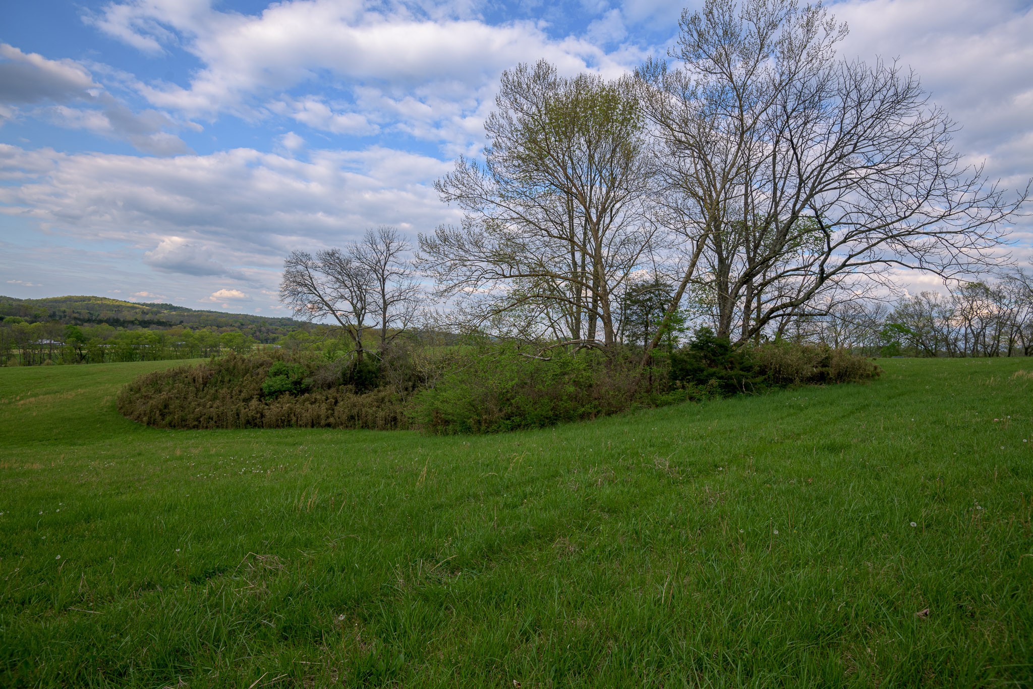 1 Clyde Gleaves Road Wartrace, TN 37183 - Photo 31 of 50 Gallery Image 31
