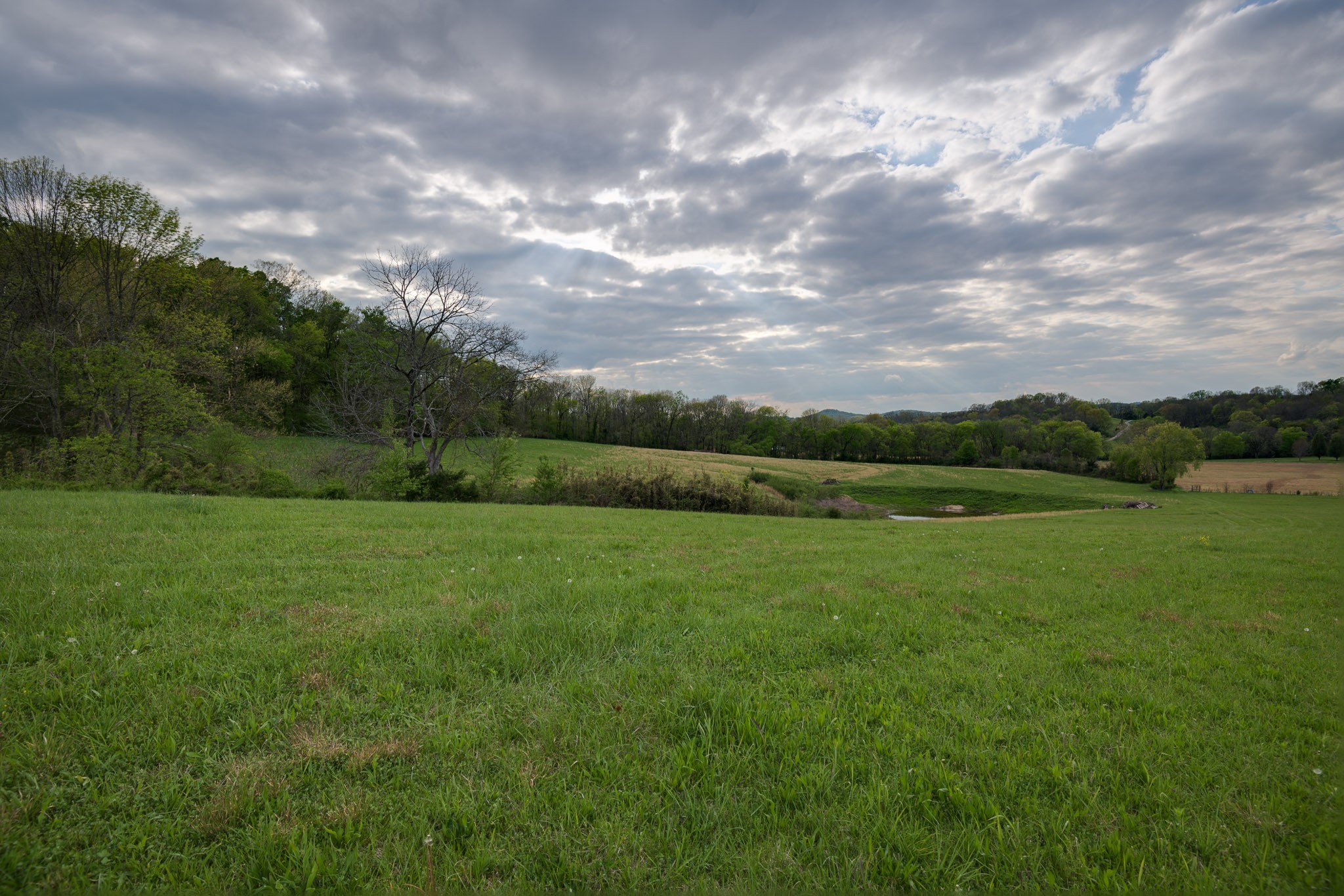 1 Clyde Gleaves Road Wartrace, TN 37183 - Photo 32 of 50 Gallery Image 32