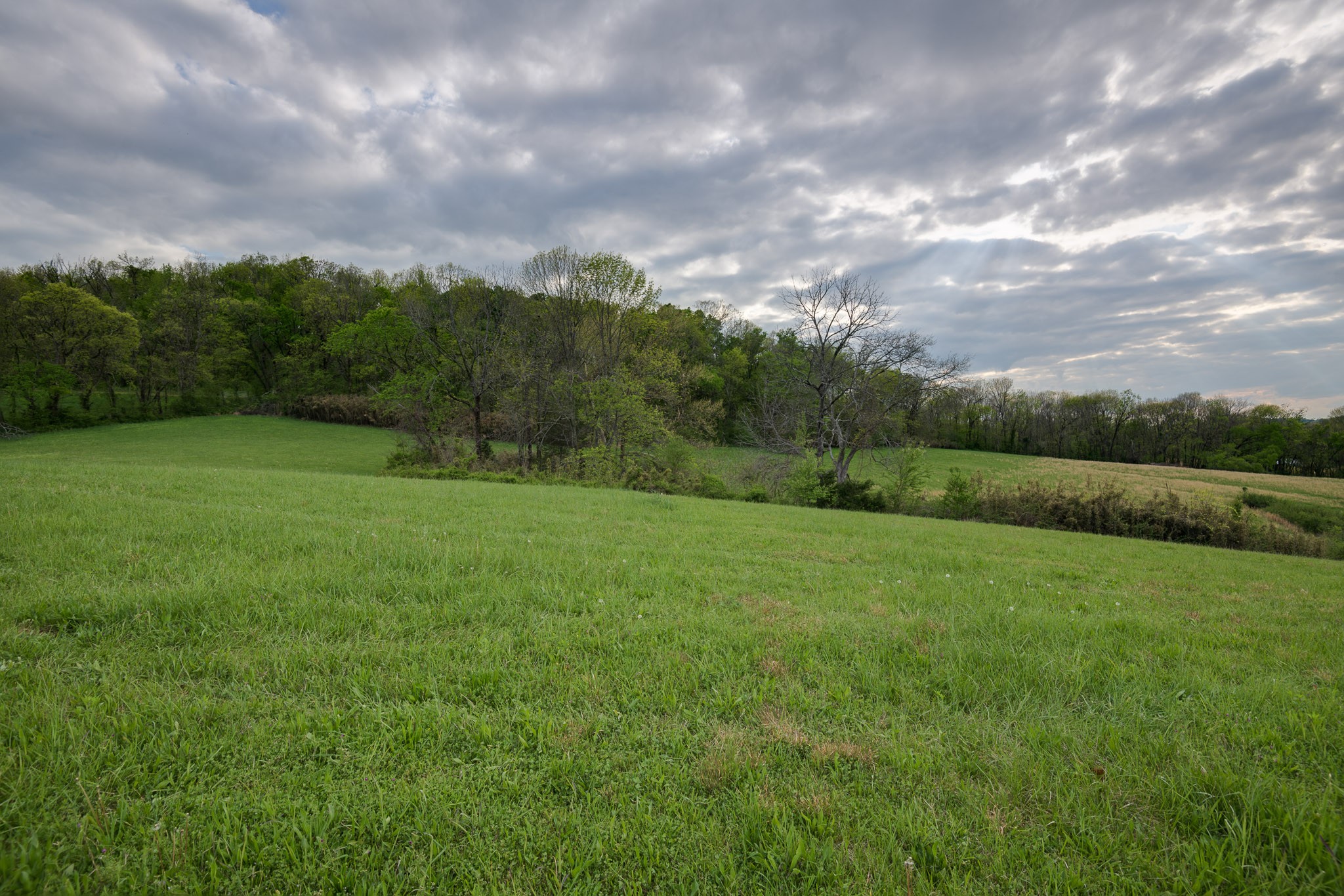 1 Clyde Gleaves Road Wartrace, TN 37183 - Photo 33 of 50 Gallery Image 33