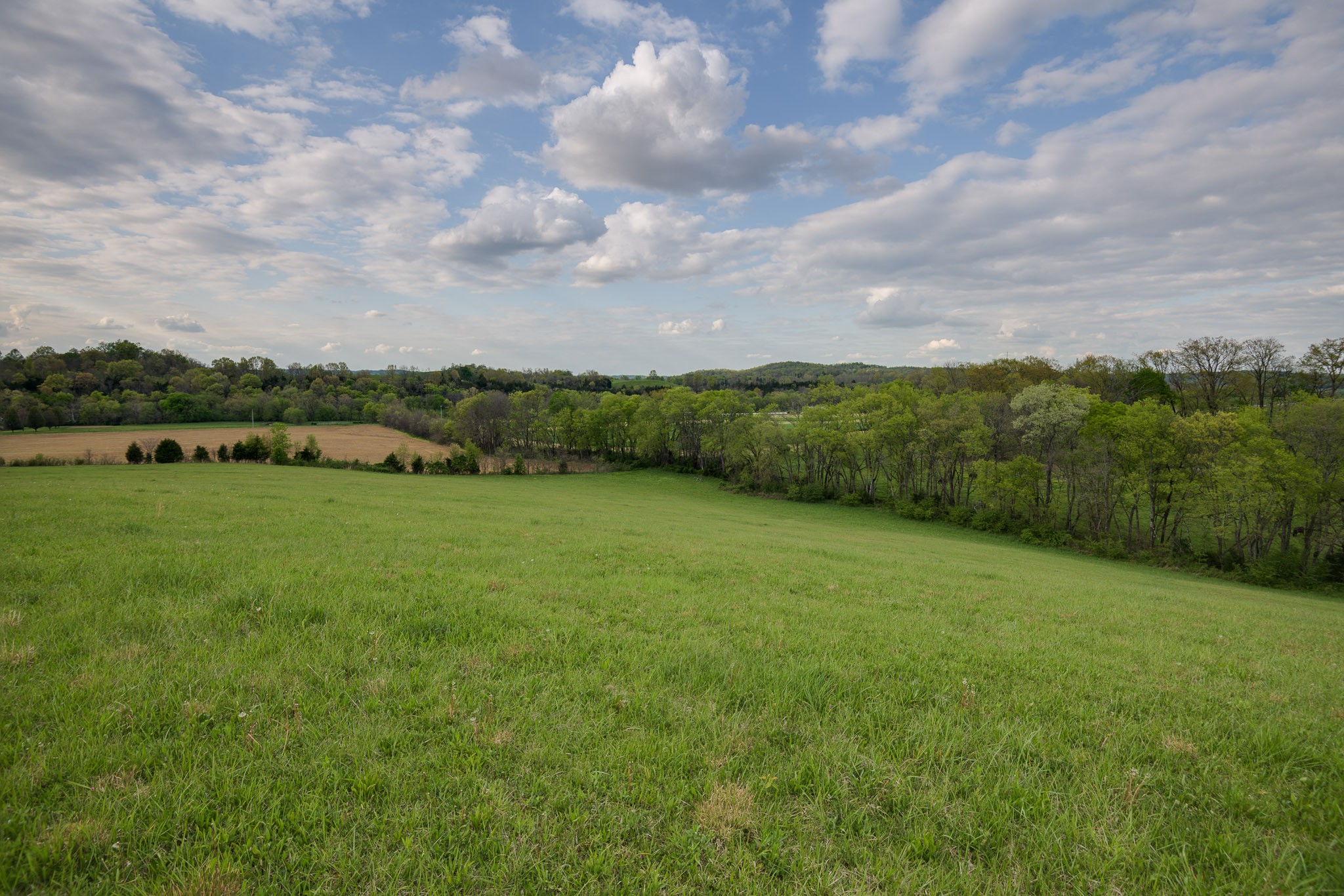 1 Clyde Gleaves Road Wartrace, TN 37183 - Photo 34 of 50 Gallery Image 34
