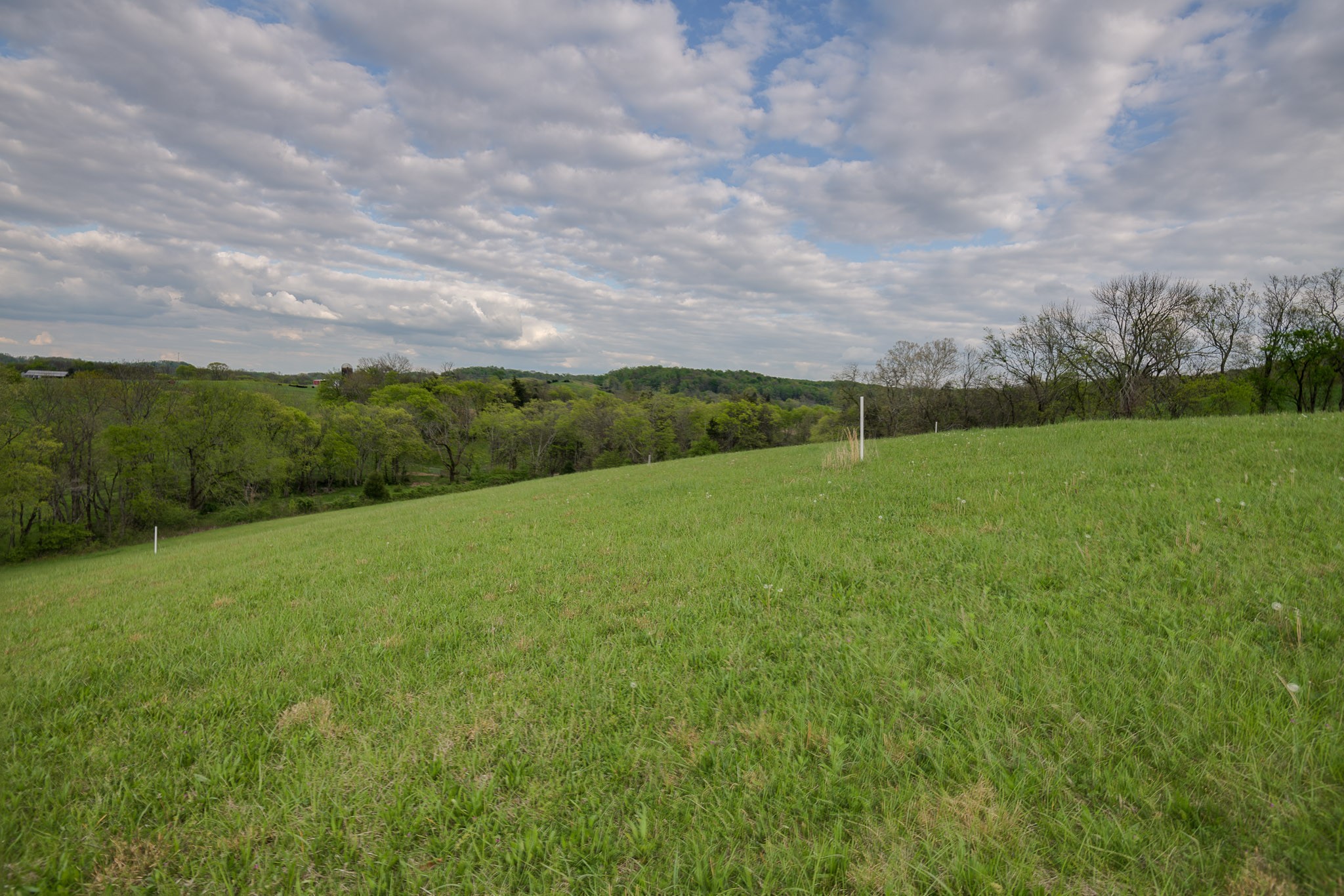 1 Clyde Gleaves Road Wartrace, TN 37183 - Photo 35 of 50 Gallery Image 35