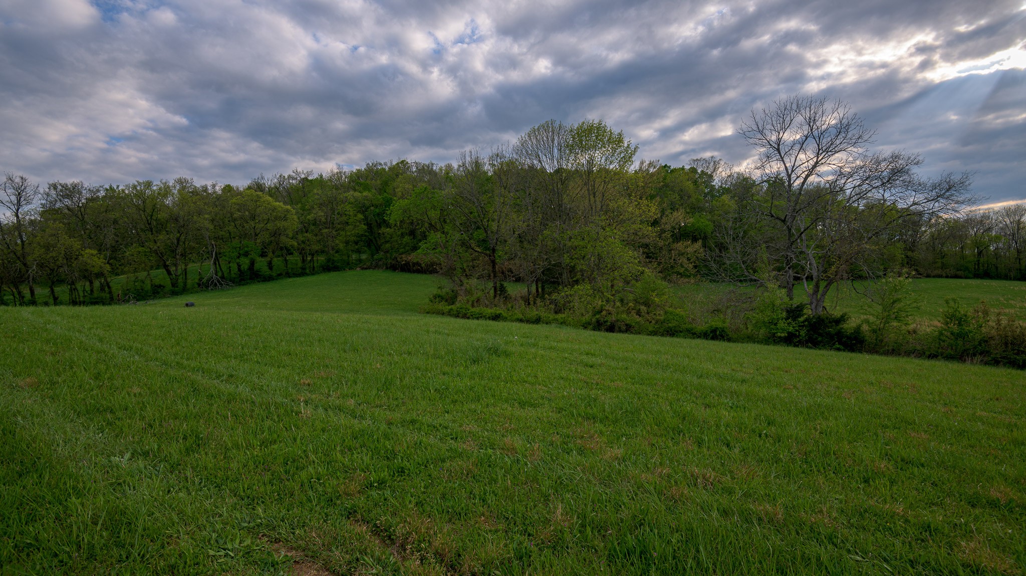 1 Clyde Gleaves Road Wartrace, TN 37183 - Photo 36 of 50 Gallery Image 36