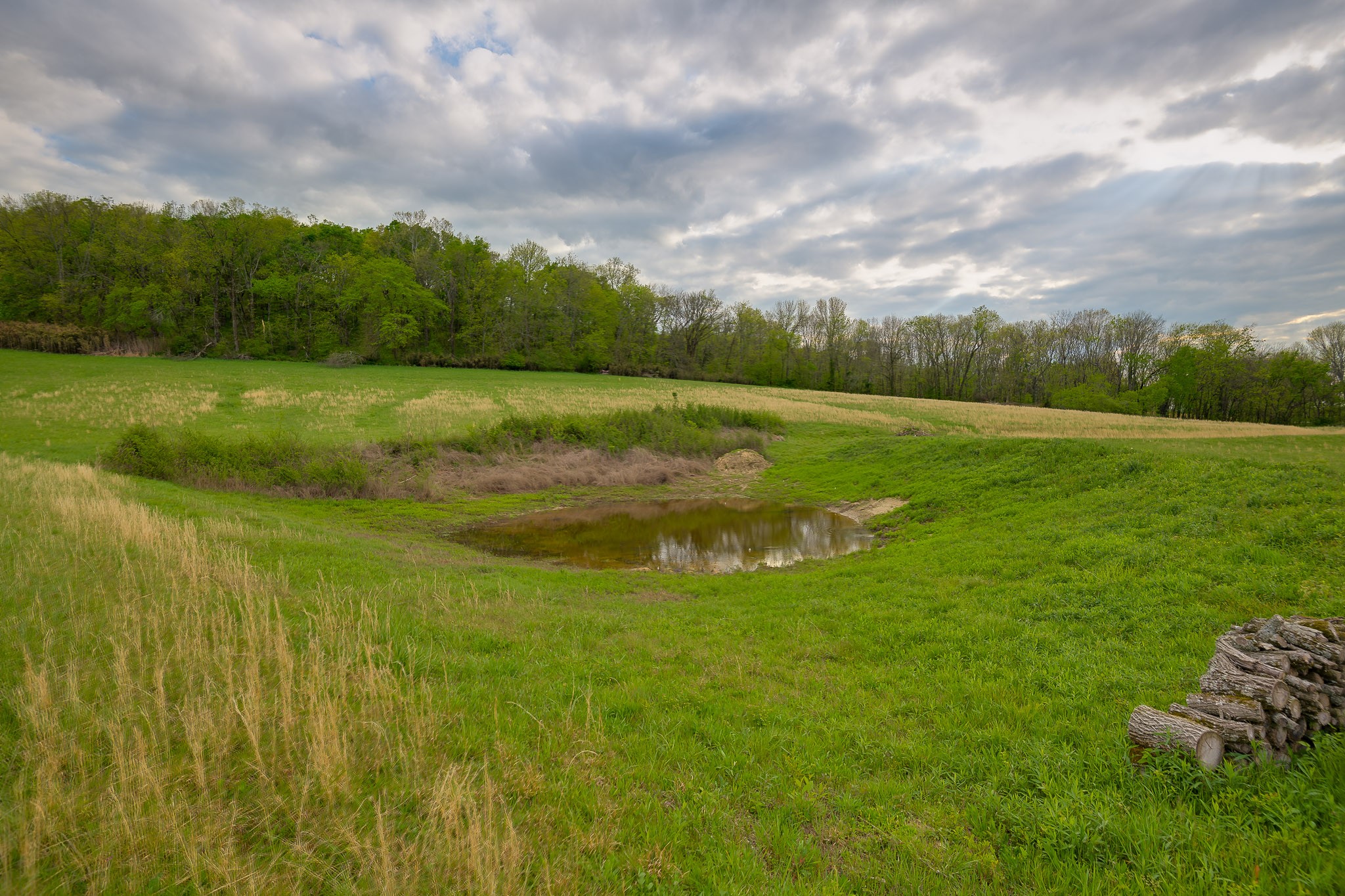 1 Clyde Gleaves Road Wartrace, TN 37183 - Photo 37 of 50 Gallery Image 37