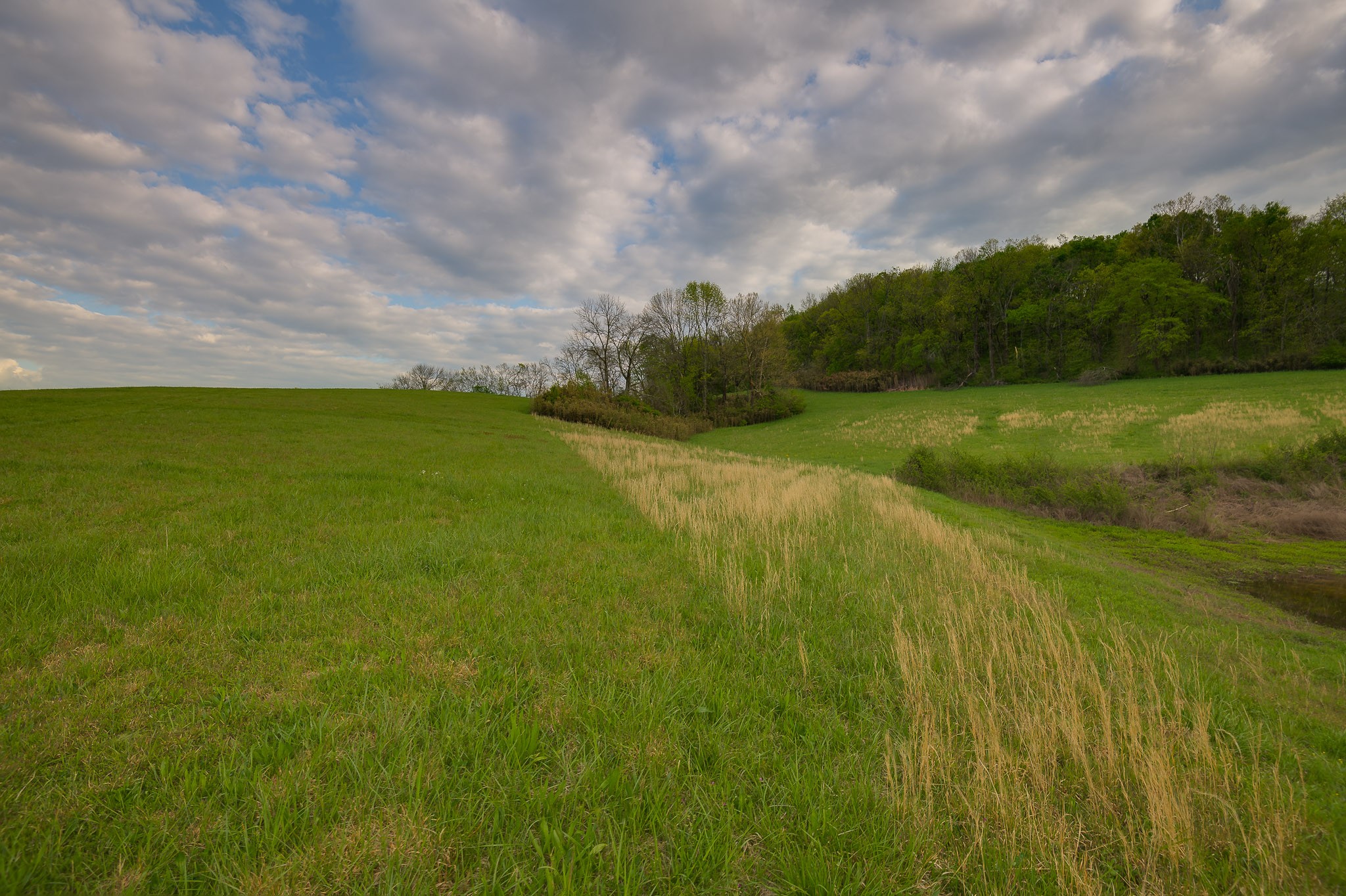 1 Clyde Gleaves Road Wartrace, TN 37183 - Photo 38 of 50 Gallery Image 38