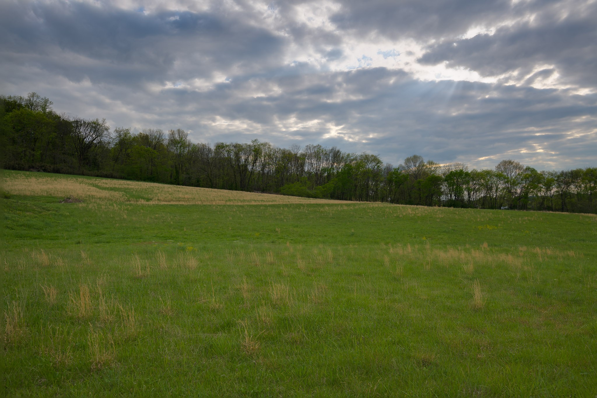 1 Clyde Gleaves Road Wartrace, TN 37183 - Photo 39 of 50 Gallery Image 39