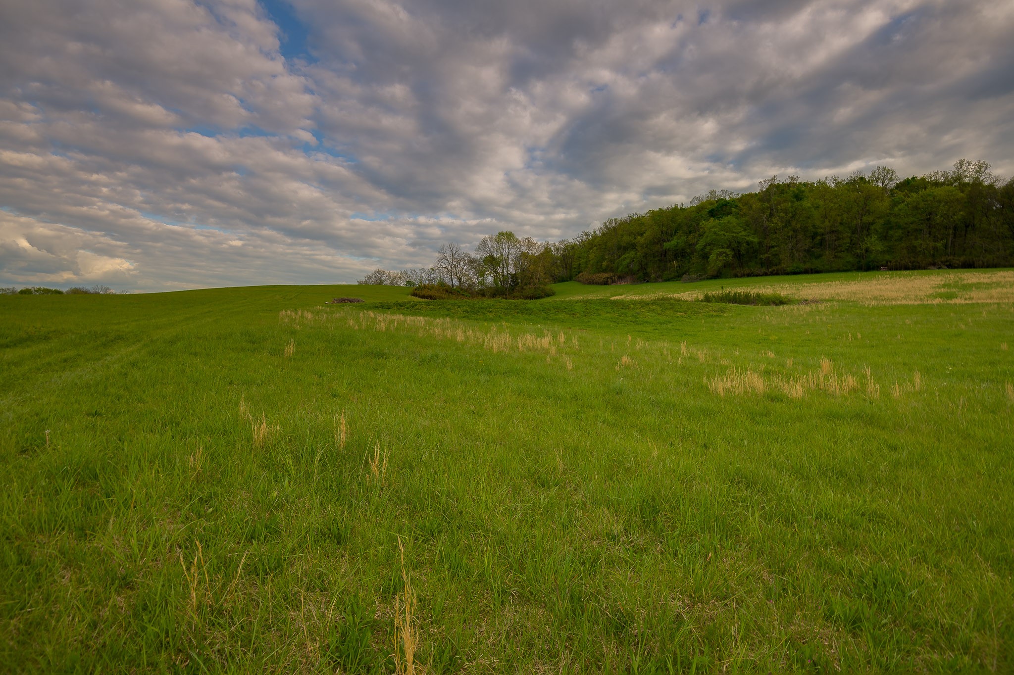 1 Clyde Gleaves Road Wartrace, TN 37183 - Photo 40 of 50 Gallery Image 40