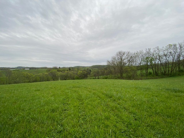 1 Clyde Gleaves Road Wartrace, TN 37183 - Photo 5 of 50 Gallery Image 5