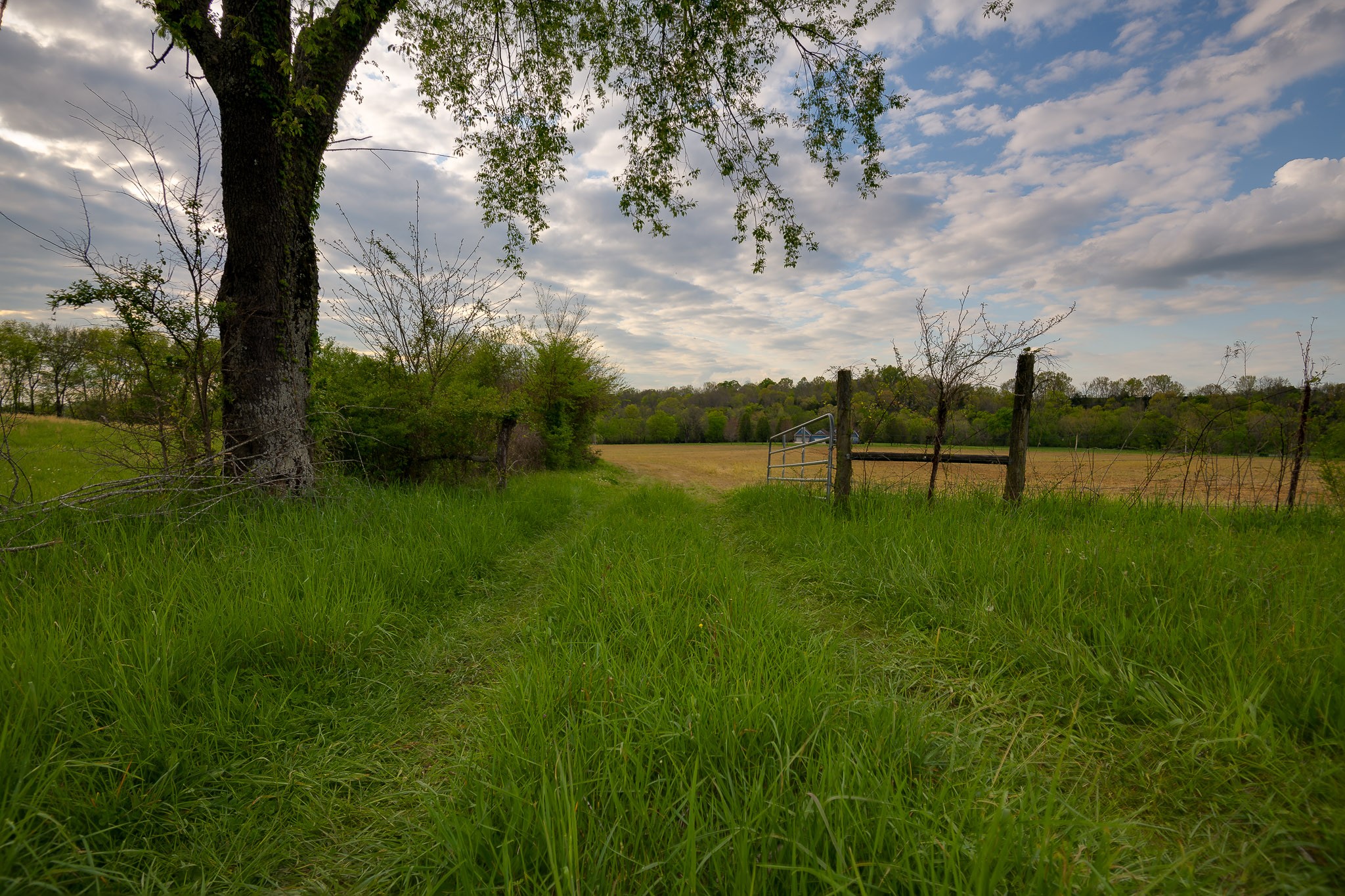 1 Clyde Gleaves Road Wartrace, TN 37183 - Photo 41 of 50 Gallery Image 41