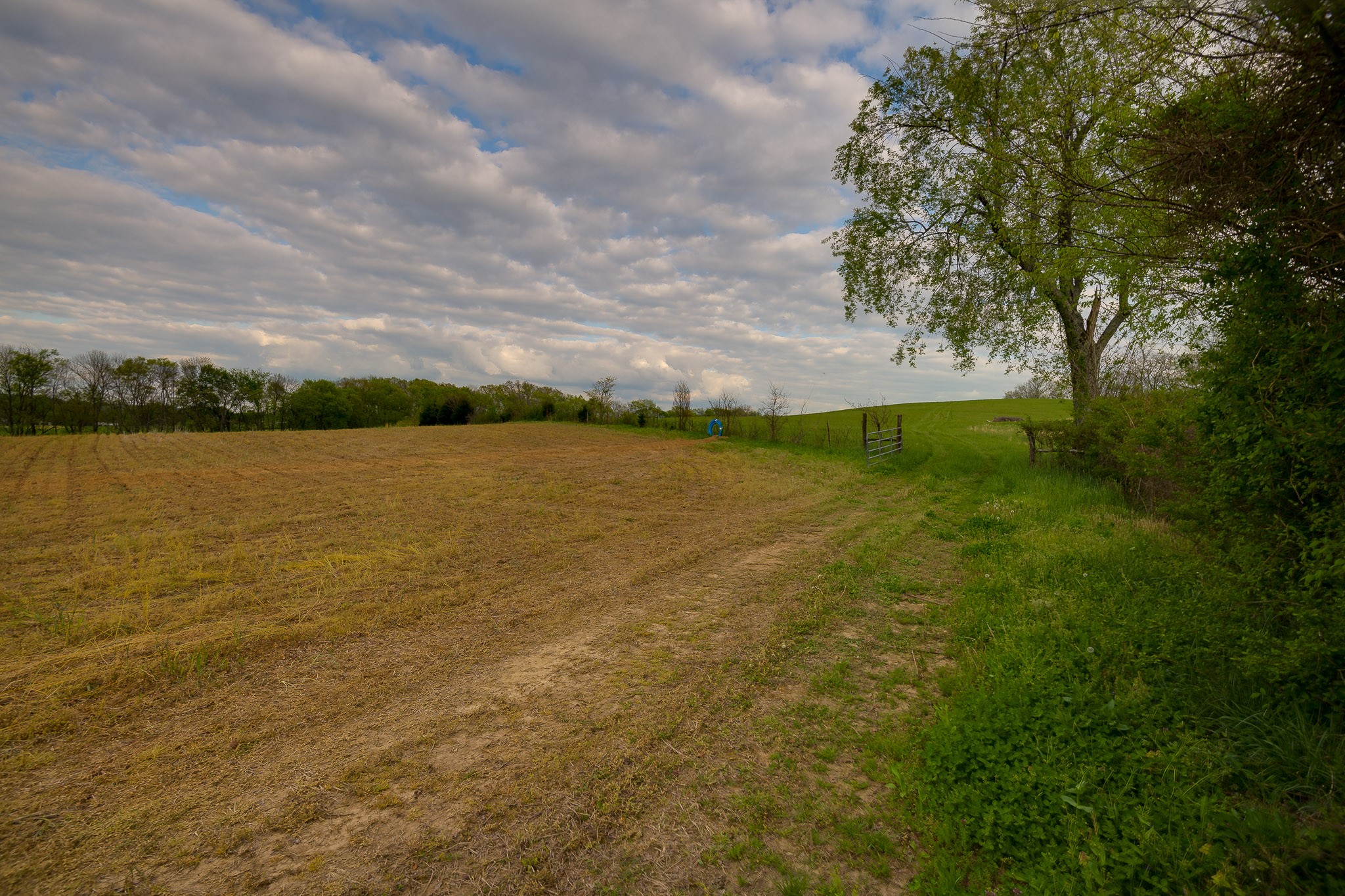 1 Clyde Gleaves Road Wartrace, TN 37183 - Photo 42 of 50 Gallery Image 42