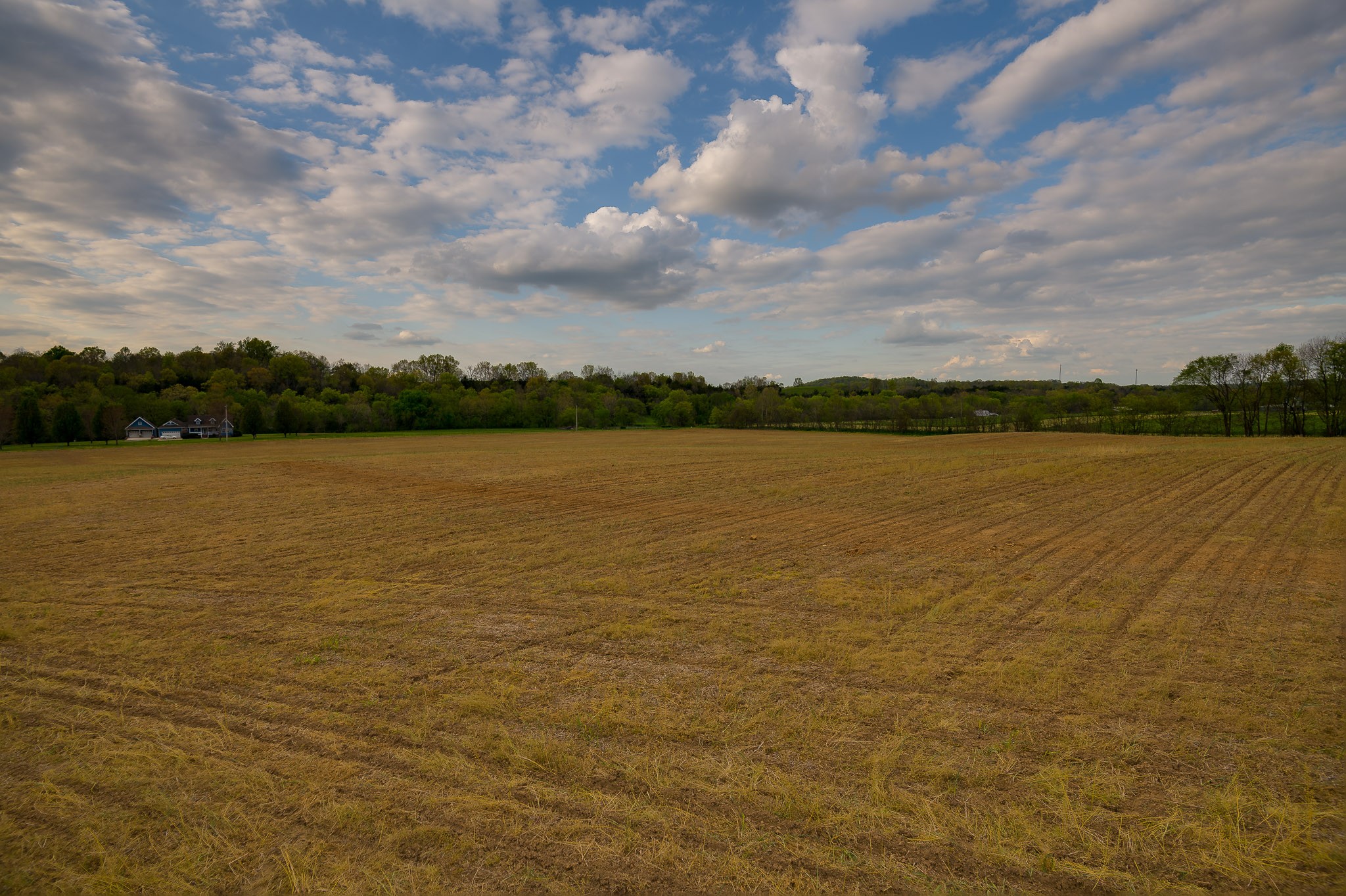 1 Clyde Gleaves Road Wartrace, TN 37183 - Photo 43 of 50 Gallery Image 43