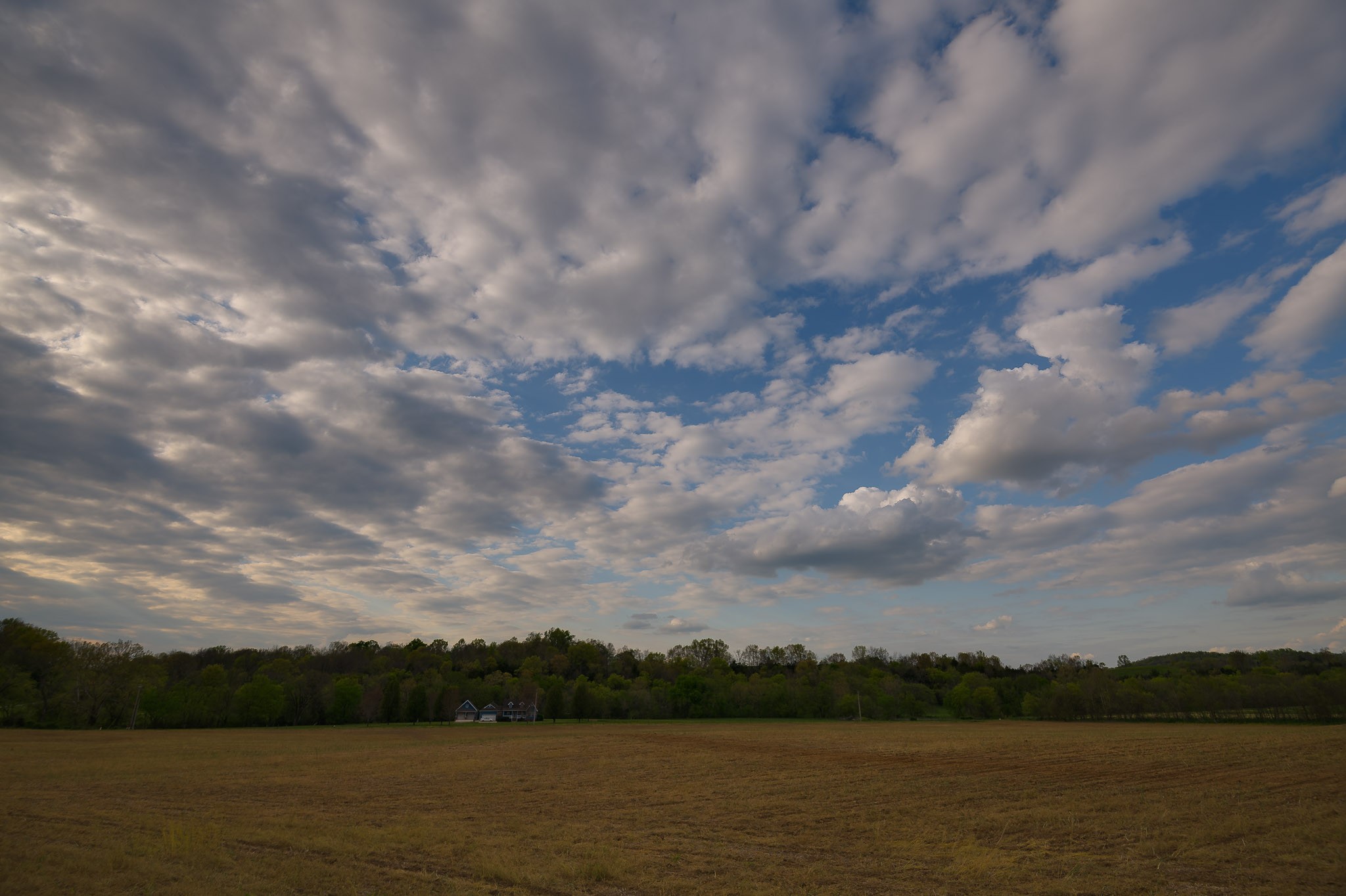 1 Clyde Gleaves Road Wartrace, TN 37183 - Photo 44 of 50 Gallery Image 44