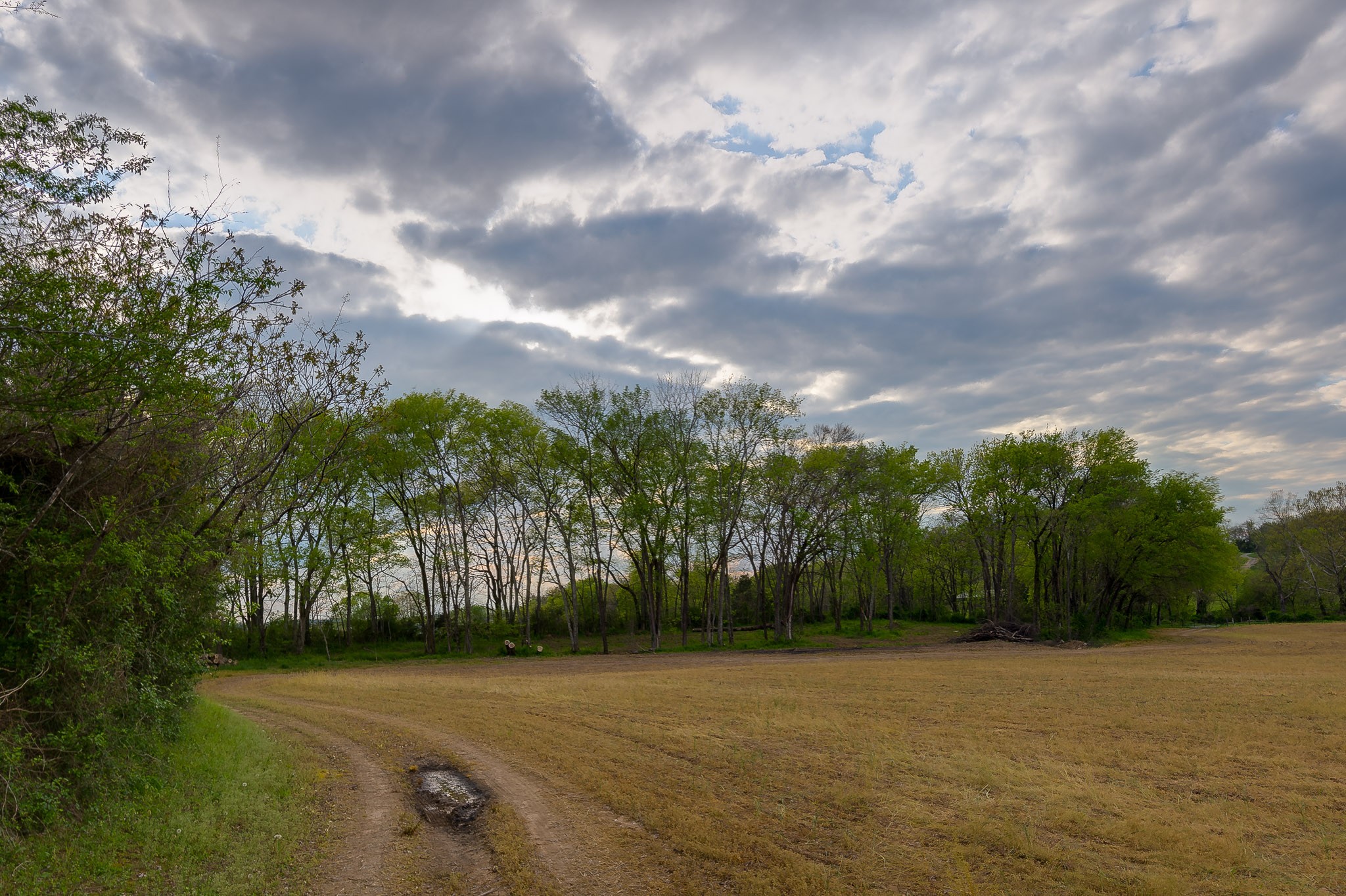 1 Clyde Gleaves Road Wartrace, TN 37183 - Photo 45 of 50 Gallery Image 45