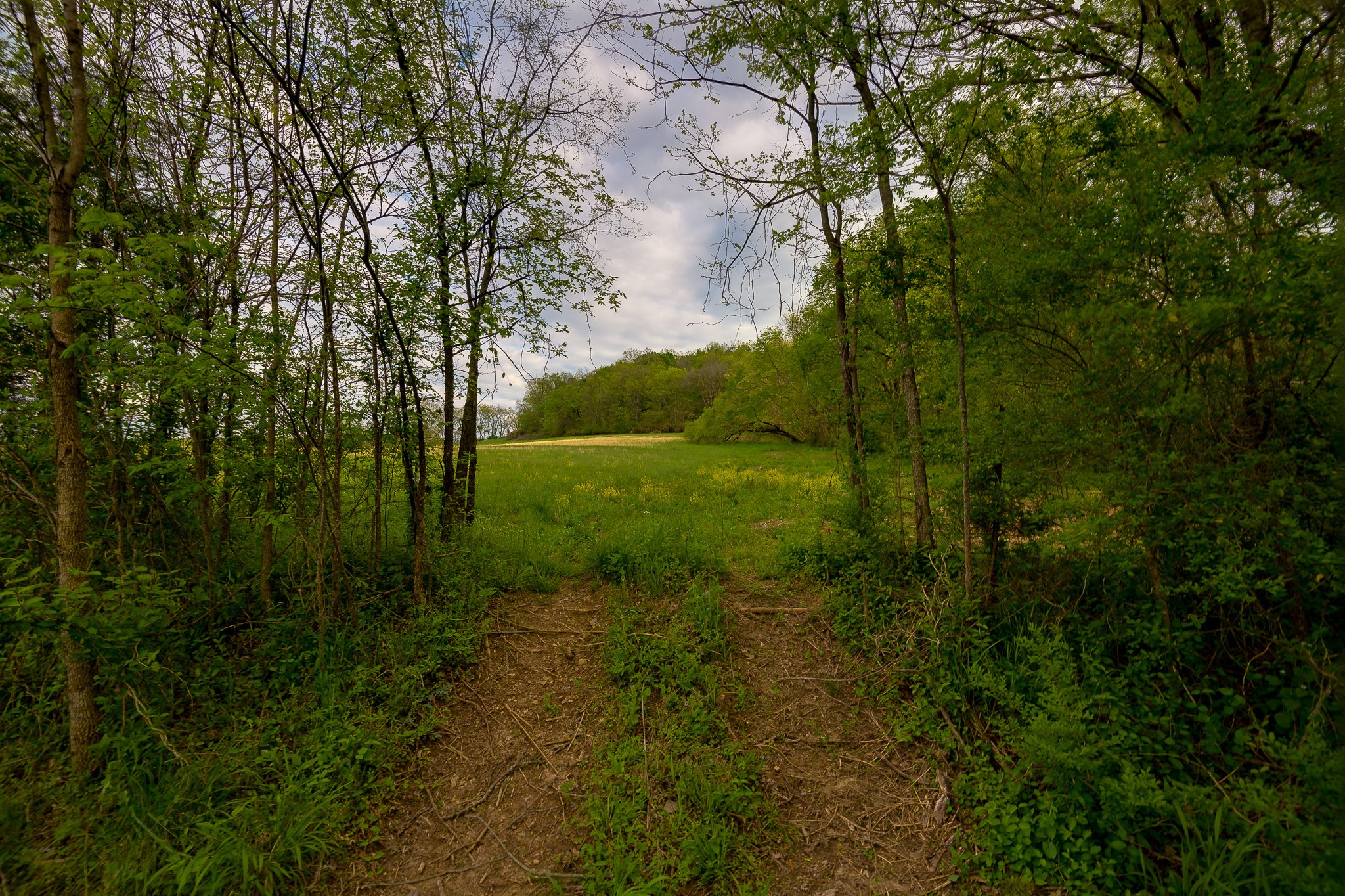1 Clyde Gleaves Road Wartrace, TN 37183 - Photo 46 of 50 Gallery Image 46