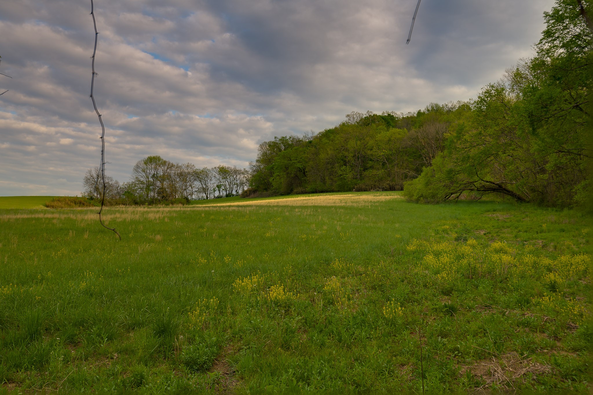 1 Clyde Gleaves Road Wartrace, TN 37183 - Photo 48 of 50 Gallery Image 48