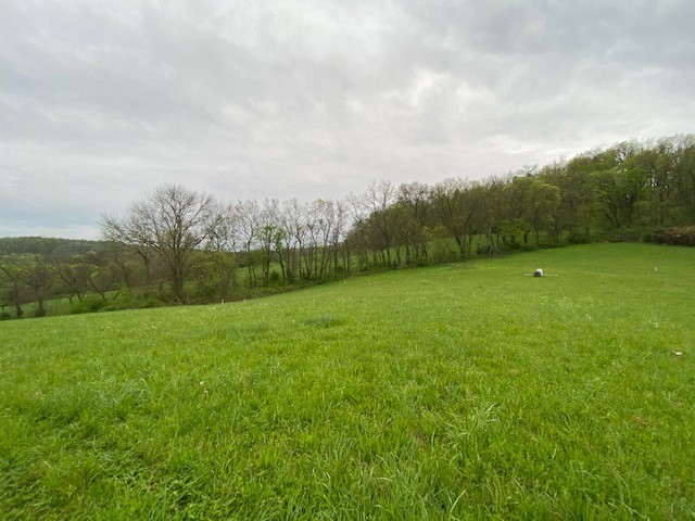 1 Clyde Gleaves Road Wartrace, TN 37183 - Photo 6 of 50 Gallery Image 6