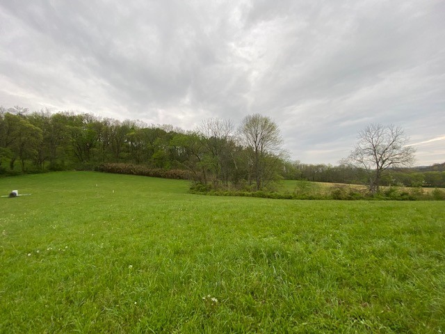 1 Clyde Gleaves Road Wartrace, TN 37183 - Photo 7 of 50 Gallery Image 7