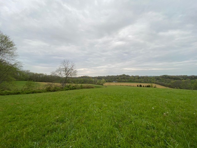 1 Clyde Gleaves Road Wartrace, TN 37183 - Photo 8 of 50 Gallery Image 8