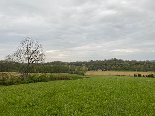 1 Clyde Gleaves Road Wartrace, TN 37183 - Photo 9 of 50 Gallery Image 9
