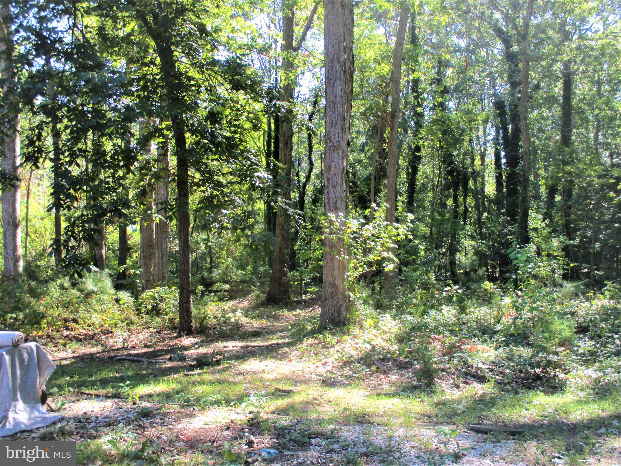 16403 Old Mill Road Lewes, DE 19958 - Photo 25 of 28 Plenty of room to expand on this .87 Acre Lot