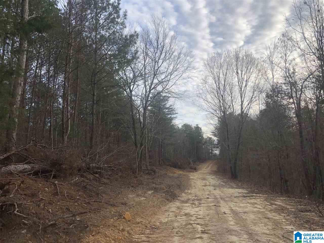 Slick Lizzard Road, Unit 1 Nauvoo, AL 35578 - Photo 5 of 8