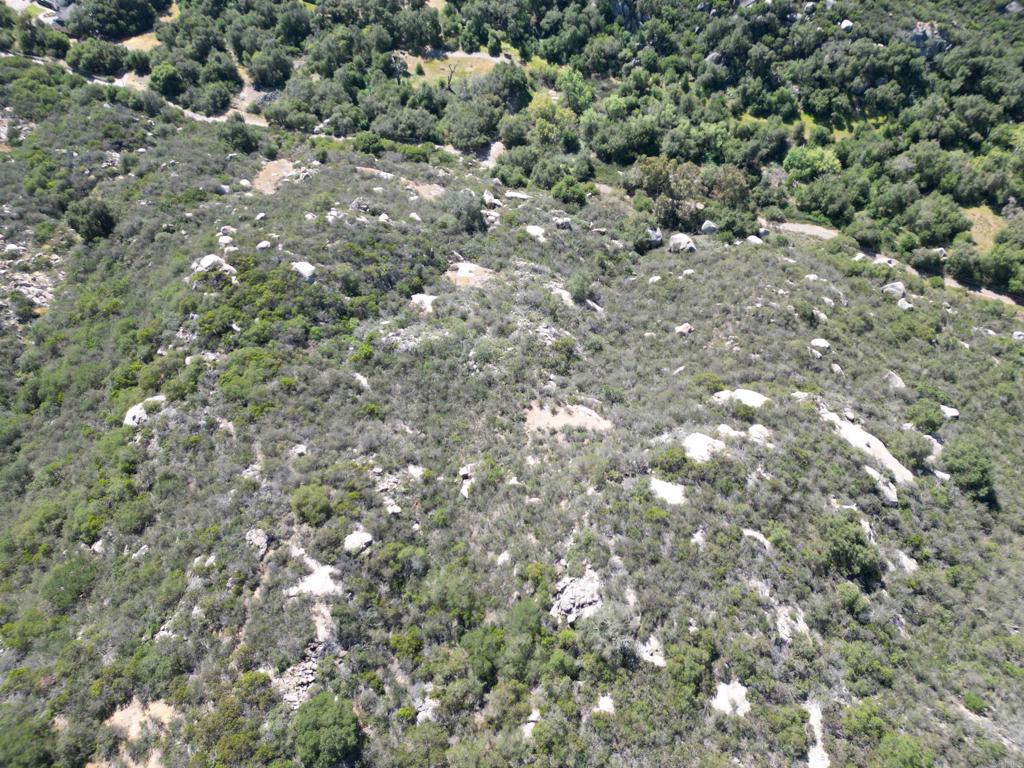 0 Rockhouse Road Ramona, CA 92065 - Photo 11 of 21 a view of a forest with a tree