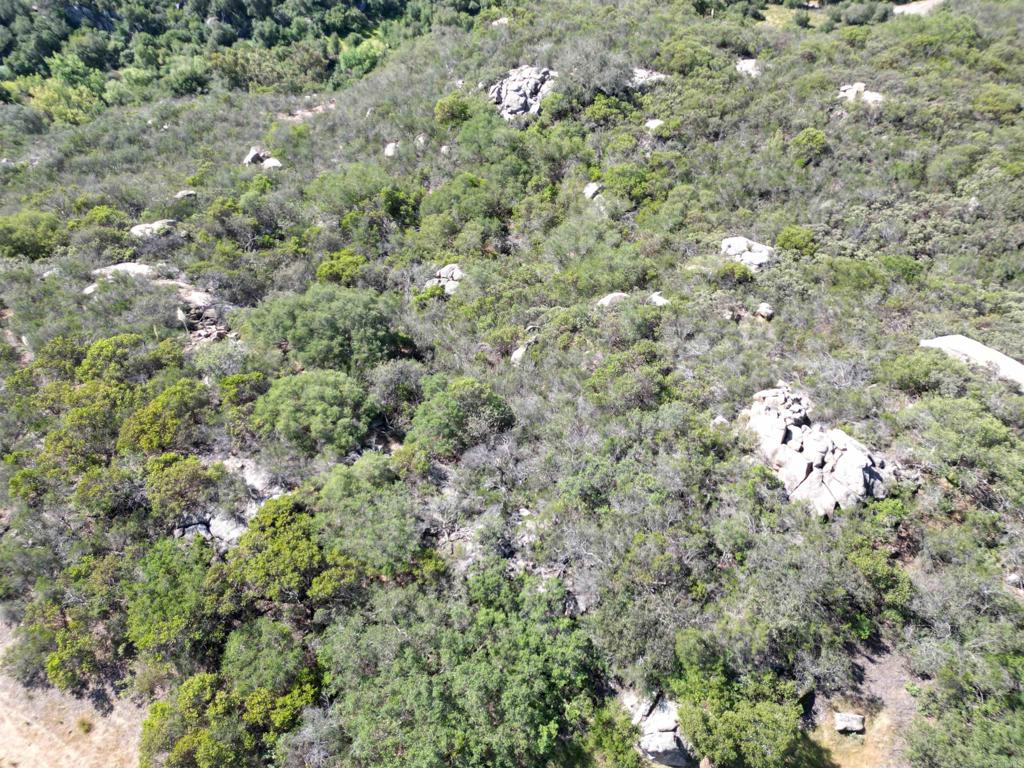 0 Rockhouse Road Ramona, CA 92065 - Photo 13 of 21 a view of a tree in a field