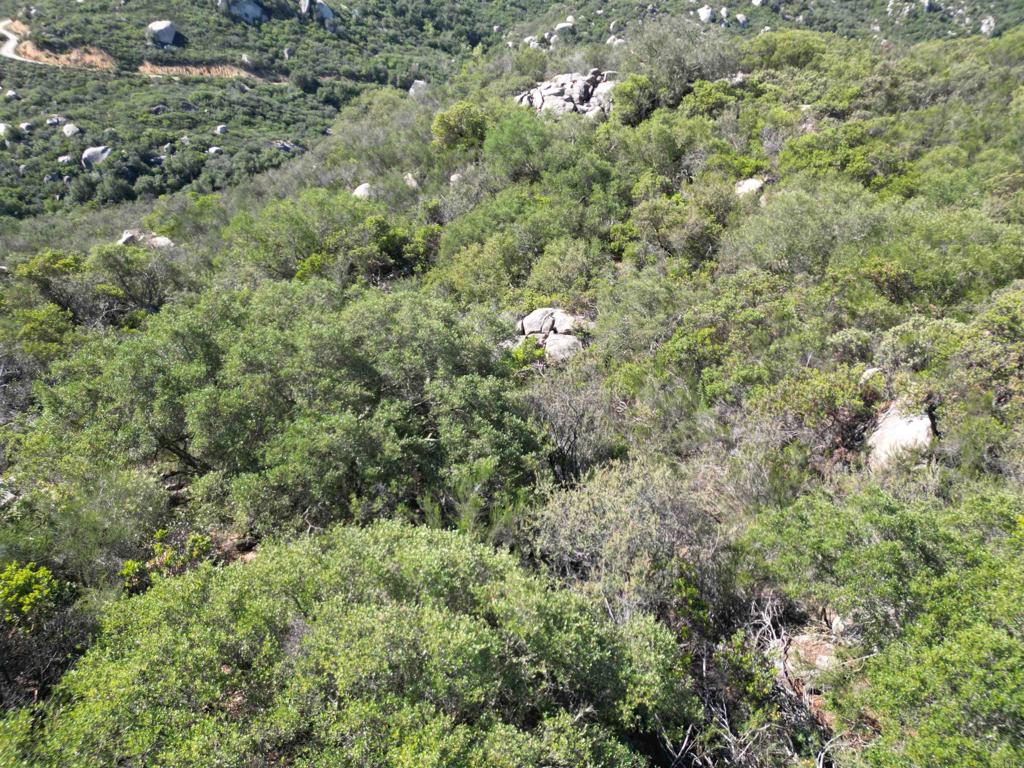 0 Rockhouse Road Ramona, CA 92065 - Photo 18 of 21 a view of a house with a lush green forest
