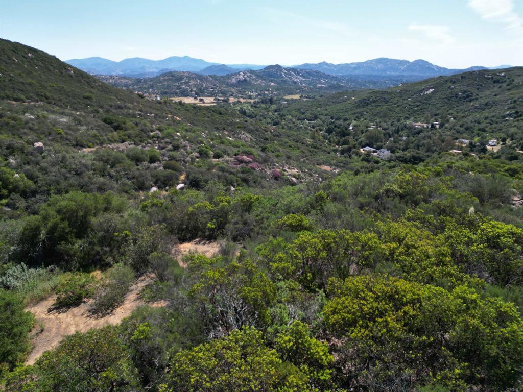0 Rockhouse Road Ramona, CA 92065 - Photo 19 of 21 a view of a lush green forest with mountains in the background