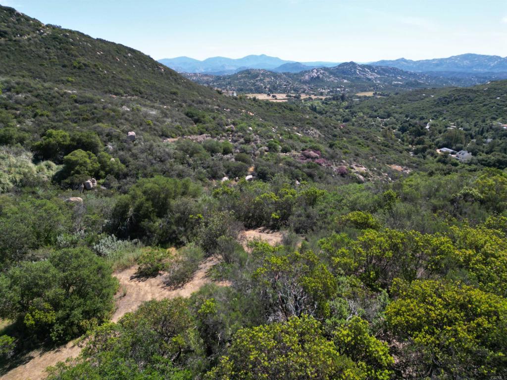 0 Rockhouse Road Ramona, CA 92065 - Photo 20 of 21 a view of a lush green forest with mountains in the background