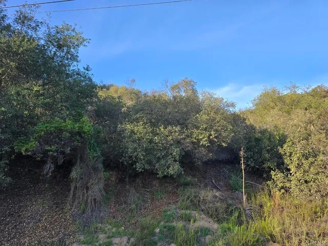 a view of outdoor space and mountain view