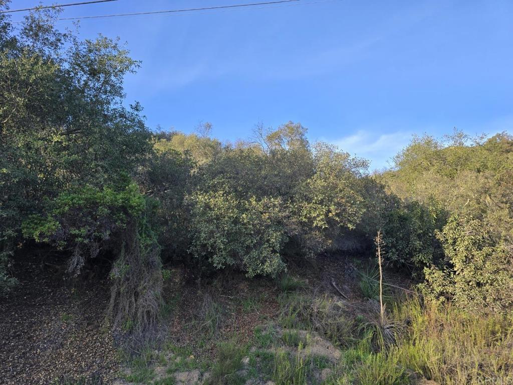 0 Rockhouse Road Ramona, CA 92065 - Photo 4 of 6