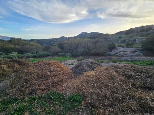 a view of a dry yard with mountains in the background