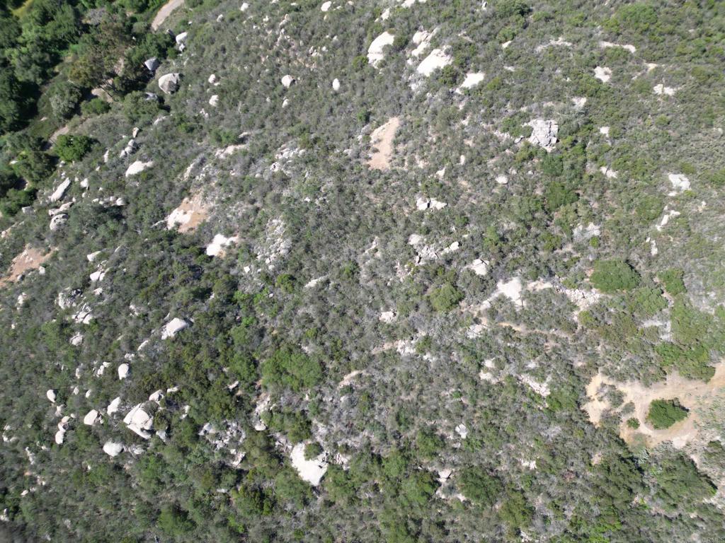 0 Rockhouse Road Ramona, CA 92065 - Photo 8 of 21 a picture of tree