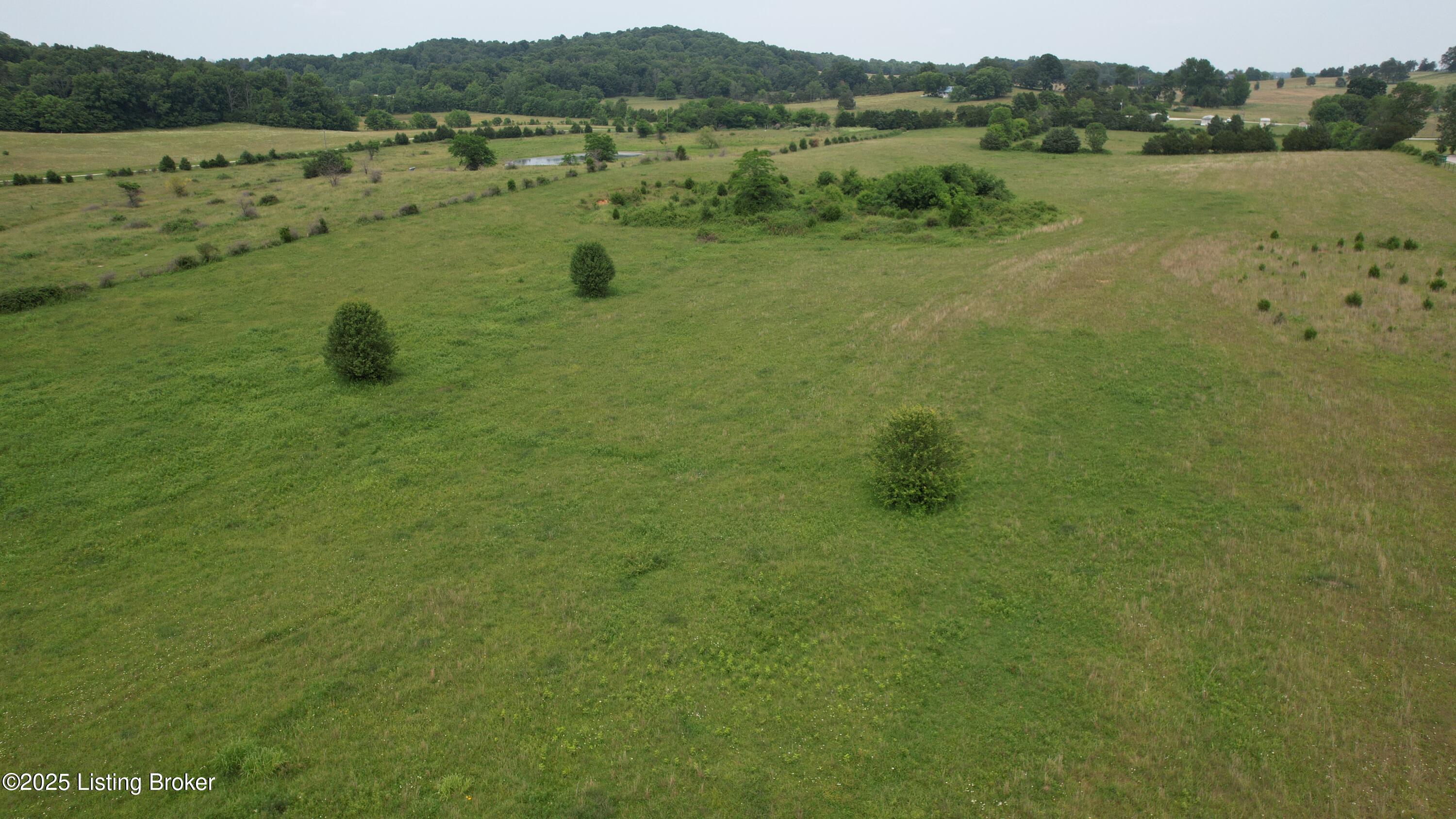 0 Upton Road Upton, KY 42784 - Photo 18 of 71 DJI_0941