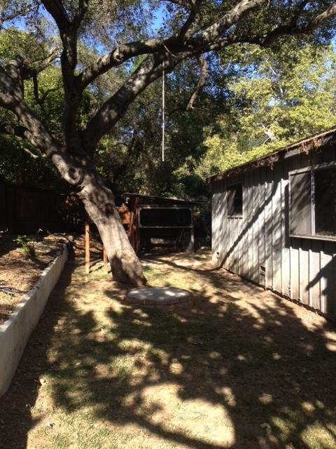 10132 Creek Road Oak View, CA 93022 - Photo 3 of 11 a view of a yard with a tree