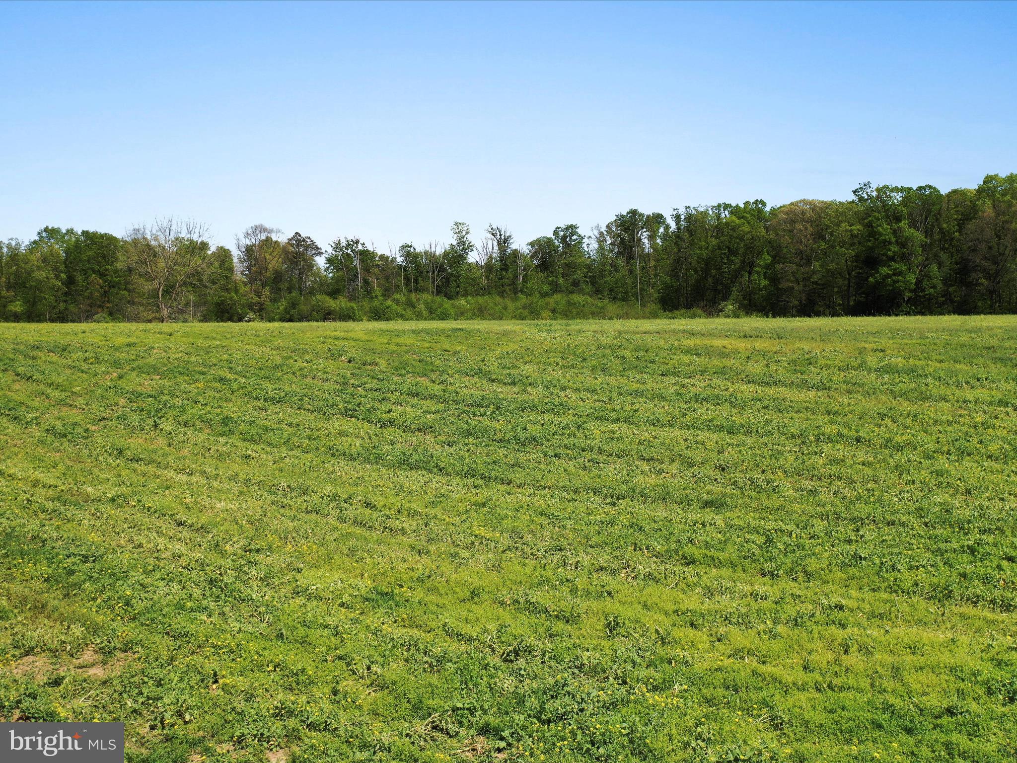0 Pleasant View Road Mount Jackson, VA 22842 - Photo 13 of 17 a view of outdoor space with field and trees