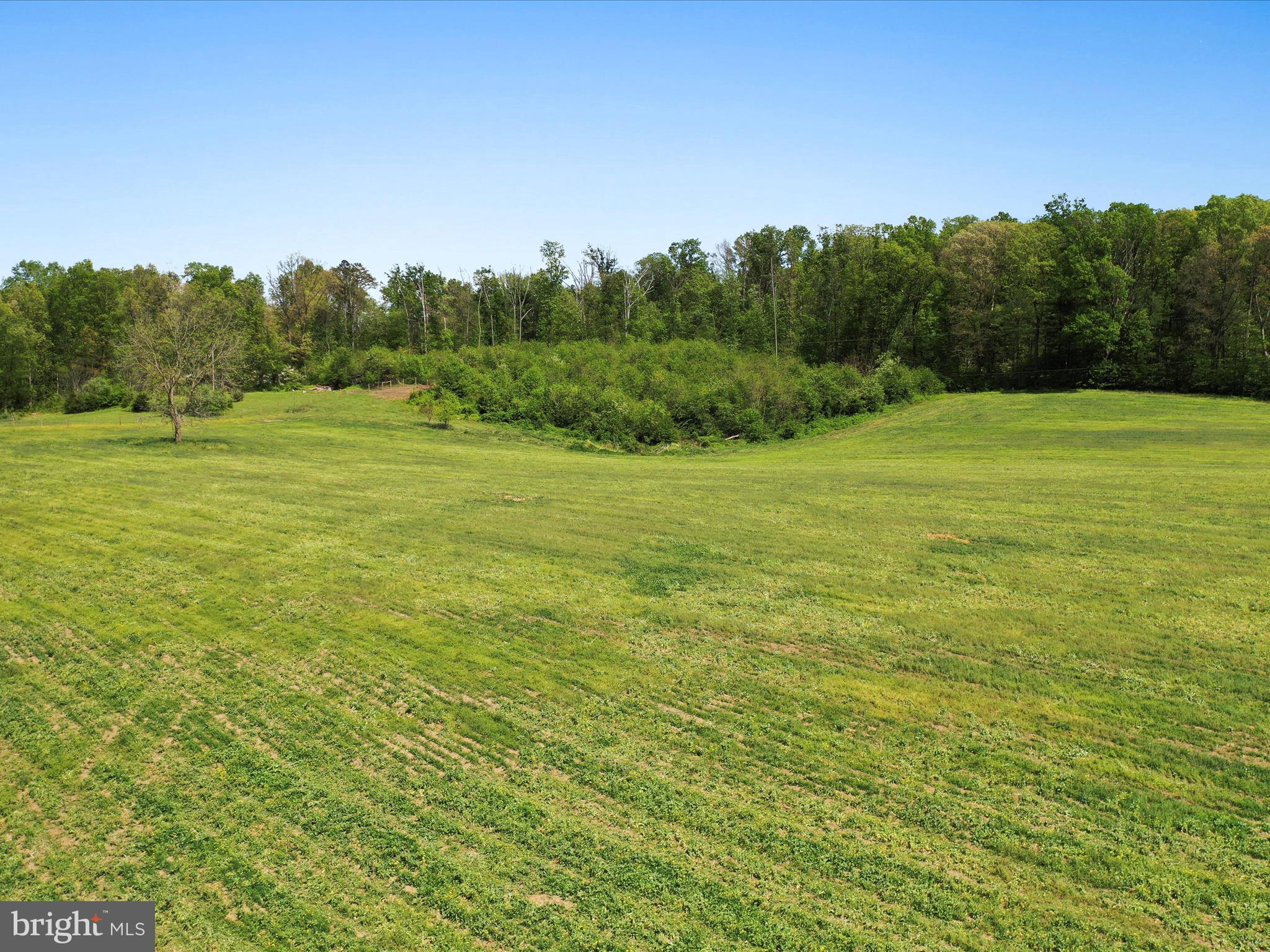 0 Pleasant View Road Mount Jackson, VA 22842 - Photo 15 of 17 a view of a field with trees in the background