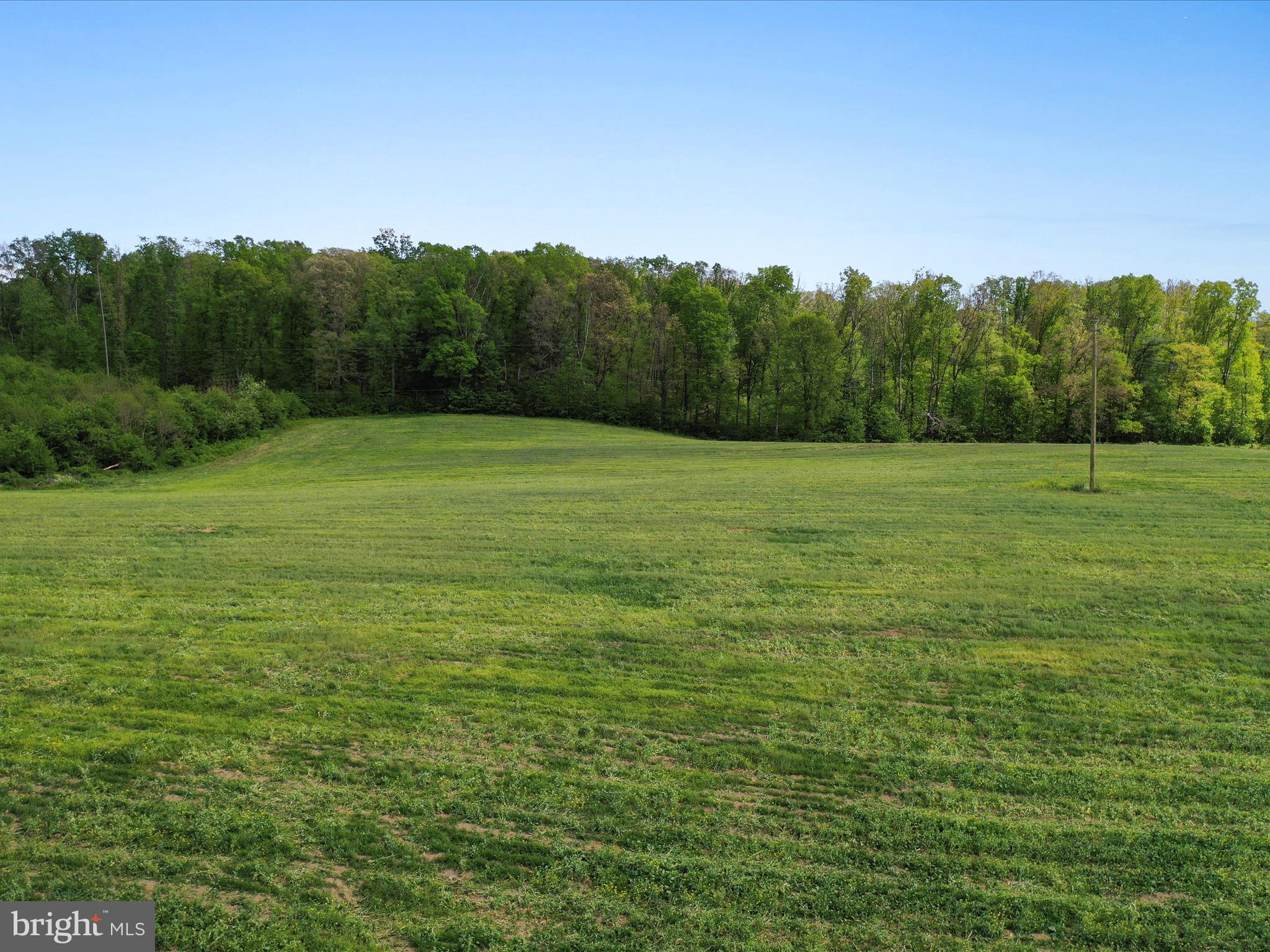 0 Pleasant View Road Mount Jackson, VA 22842 - Photo 4 of 17 a view of outdoor space and yard