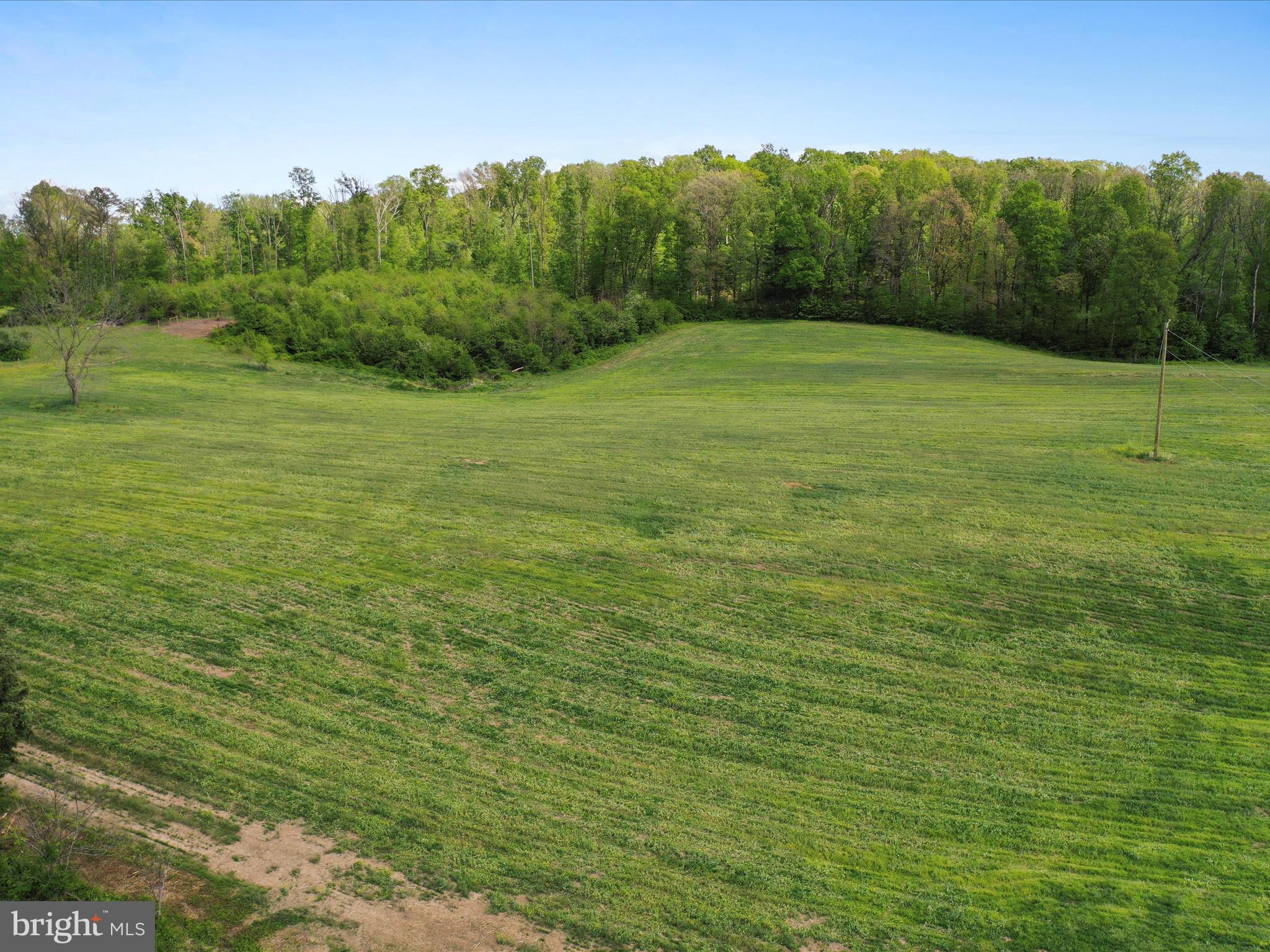 0 Pleasant View Road Mount Jackson, VA 22842 - Photo 10 of 17 a view of an outdoor space and a yard