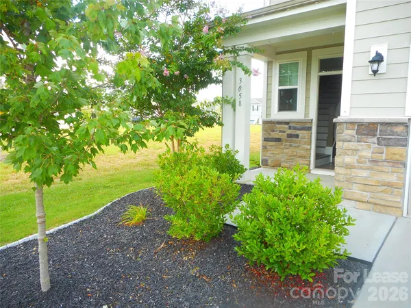 a view of a backyard with potted plants
