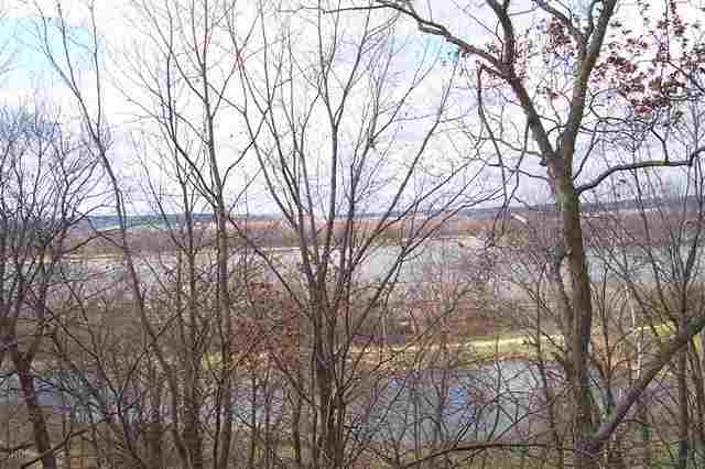 9293 West Diggin Hill Road Hanover, IL 61041 - Photo 12 of 19 a backyard of a house with lots of trees