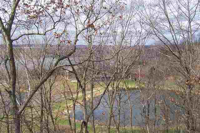 9293 West Diggin Hill Road Hanover, IL 61041 - Photo 13 of 19 a backyard of a house with lots of trees